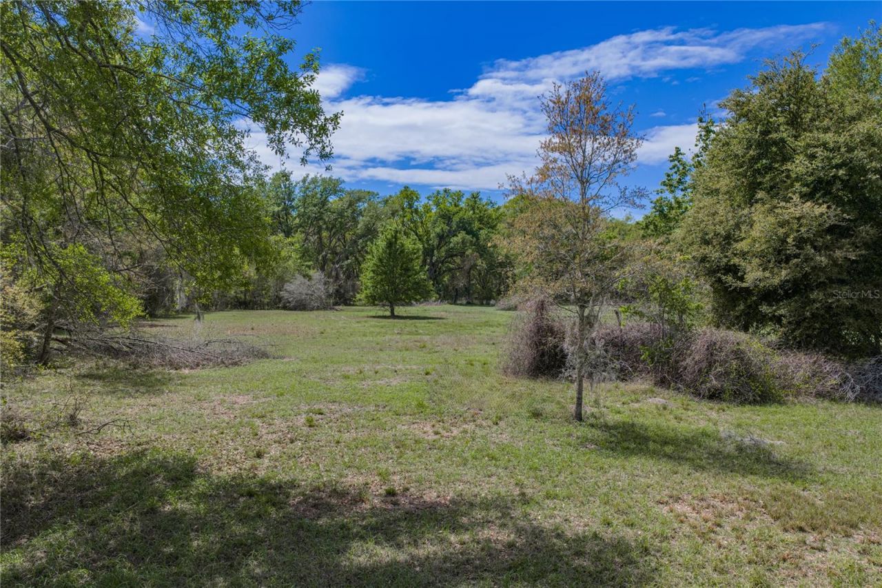 0 Clayton Road , Kathleen, FL 33849 Photo