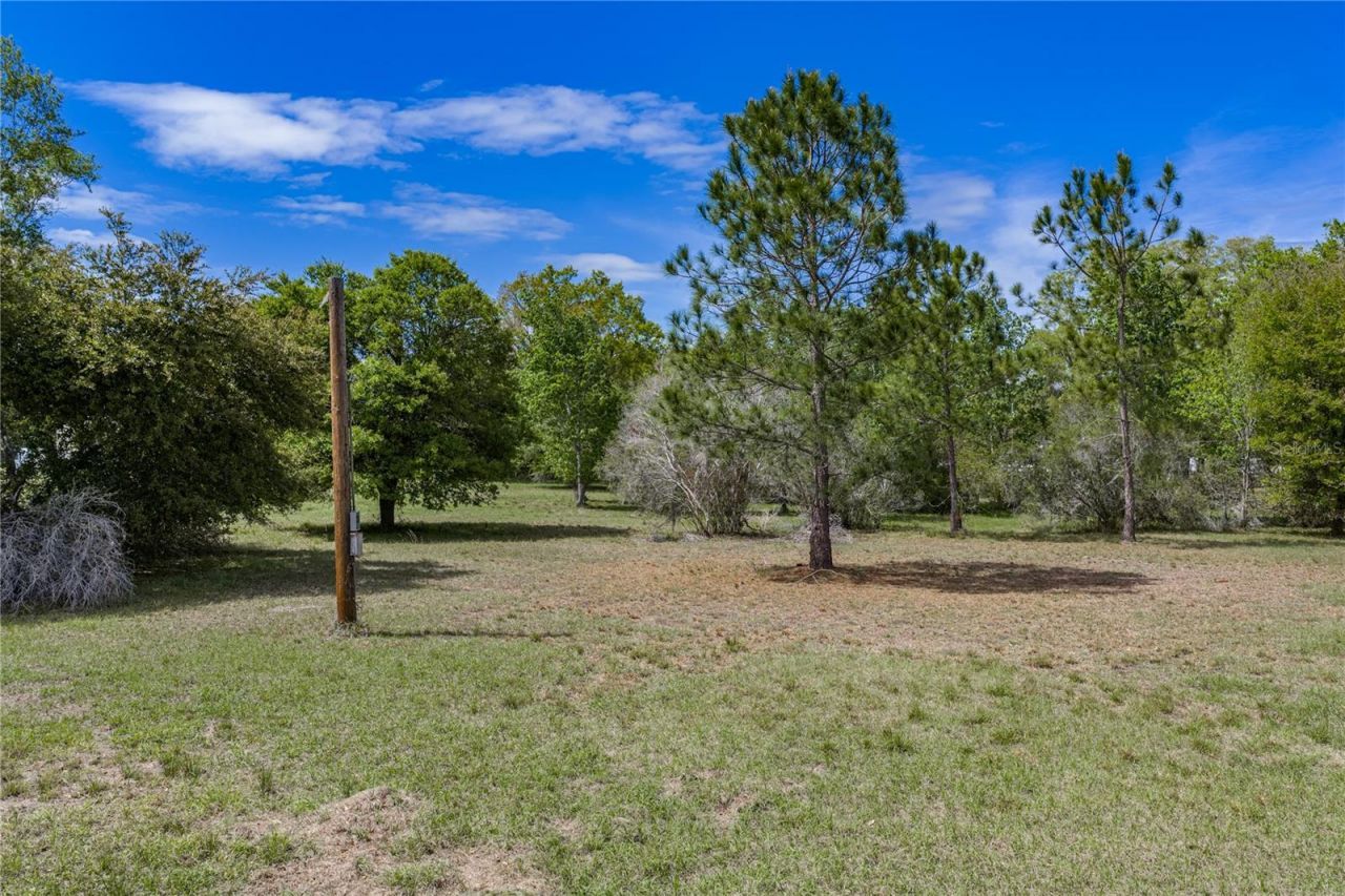 0 Clayton Road, Kathleen, FL 33849 Photo