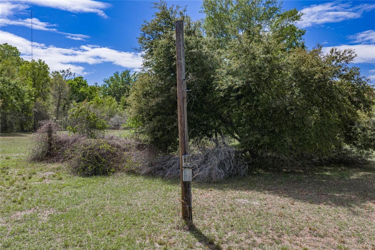 0 Clayton Road, Kathleen, FL 33849 Photo
