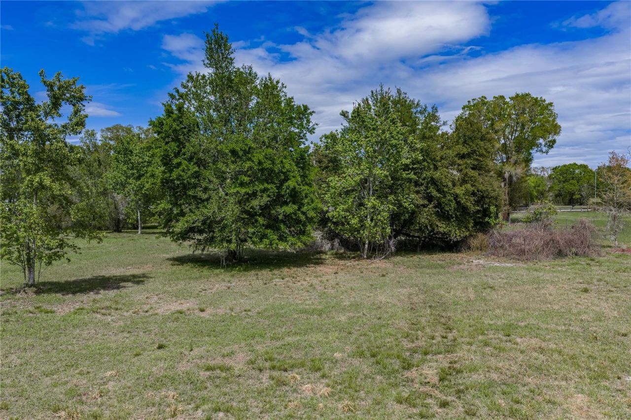 0 Clayton Road, Kathleen, FL 33849 Photo
