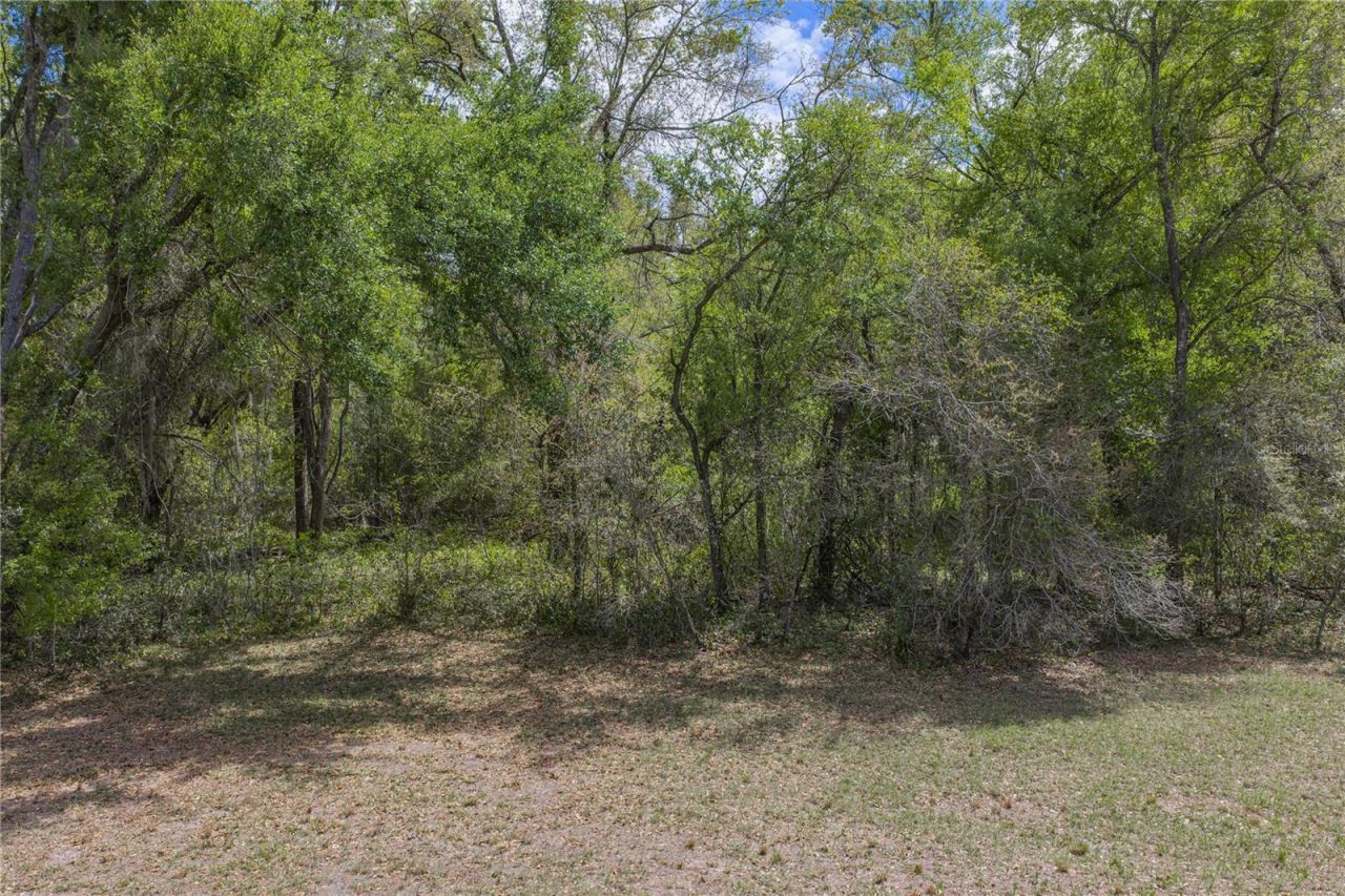 0 Clayton Road, Kathleen, FL 33849 Photo