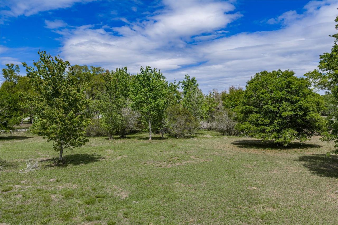 0 Clayton Road, Kathleen, FL 33849 Photo