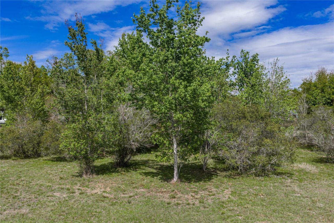 0 Clayton Road , Kathleen, FL 33849 Photo