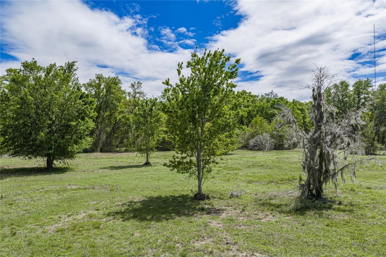 0 Clayton Road , Kathleen, FL 33849 Photo