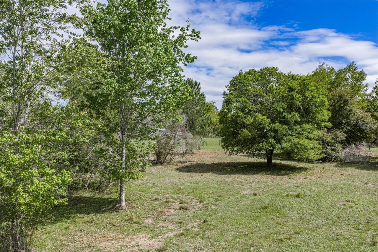 0 Clayton Road , Kathleen, FL 33849 Photo