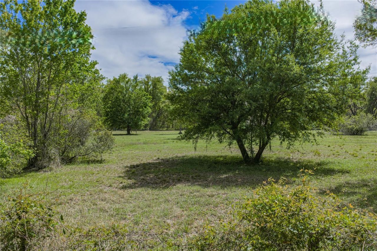 0 Clayton Road, Kathleen, FL 33849 Photo