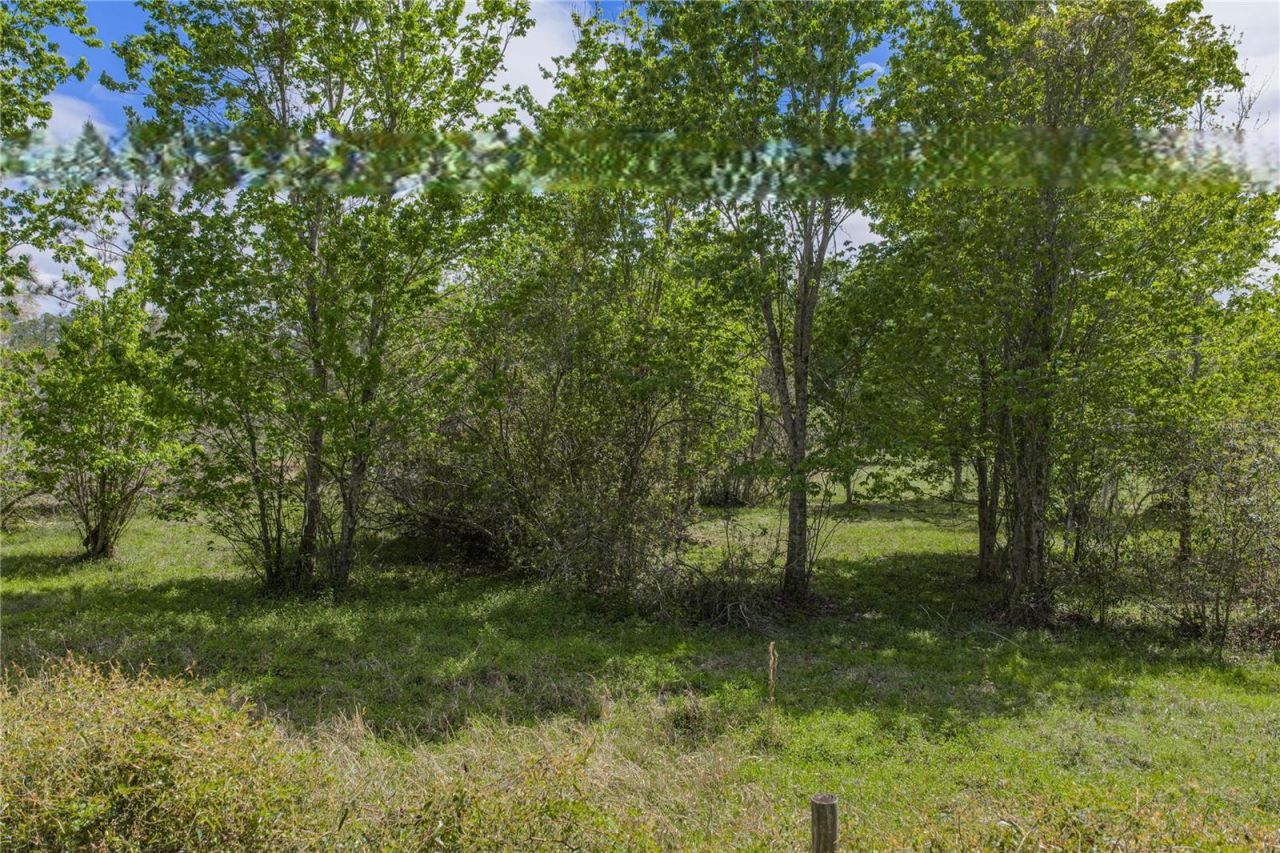 0 Clayton Road, Kathleen, FL 33849 Photo