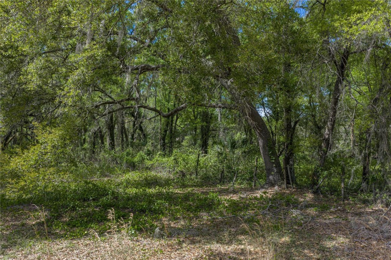 0 Clayton Road, Kathleen, FL 33849 Photo