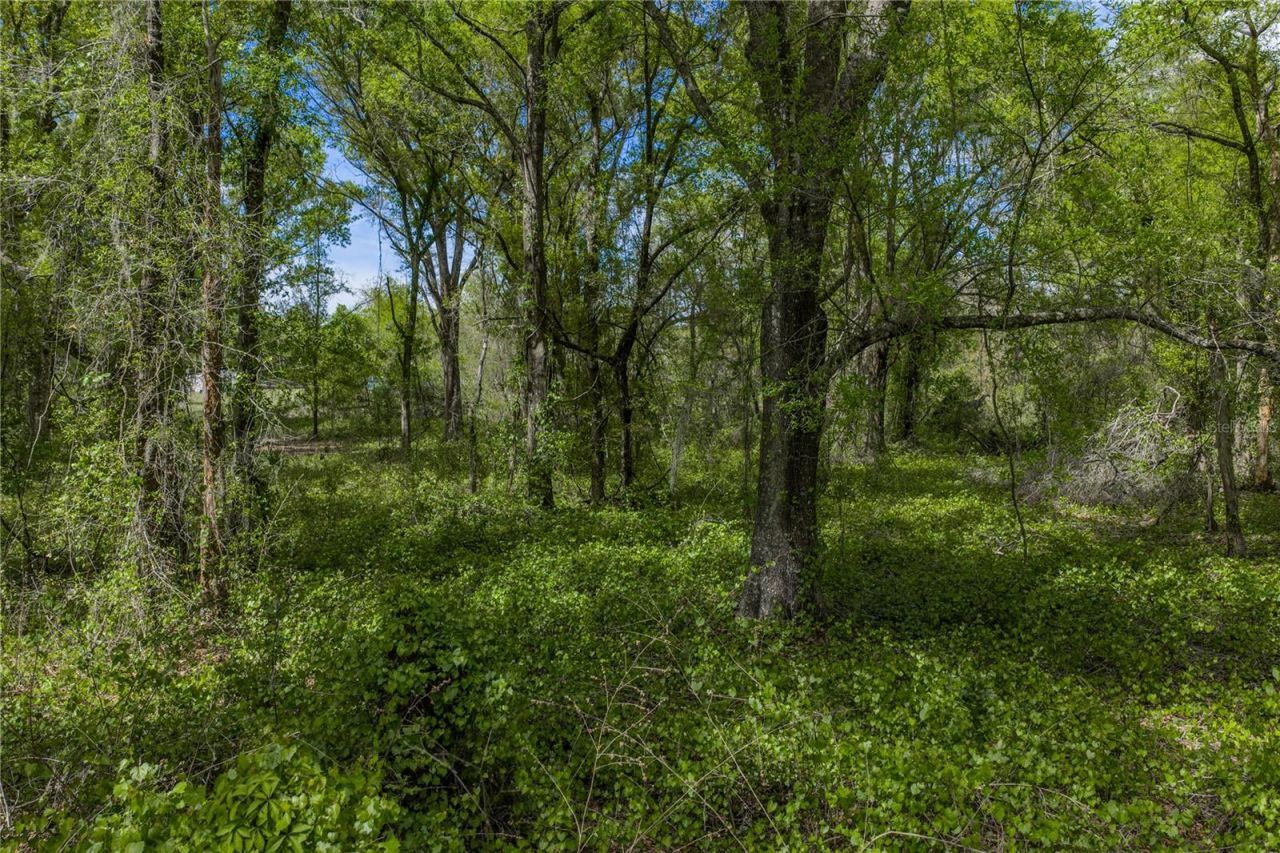 0 Clayton Road , Kathleen, FL 33849 Photo