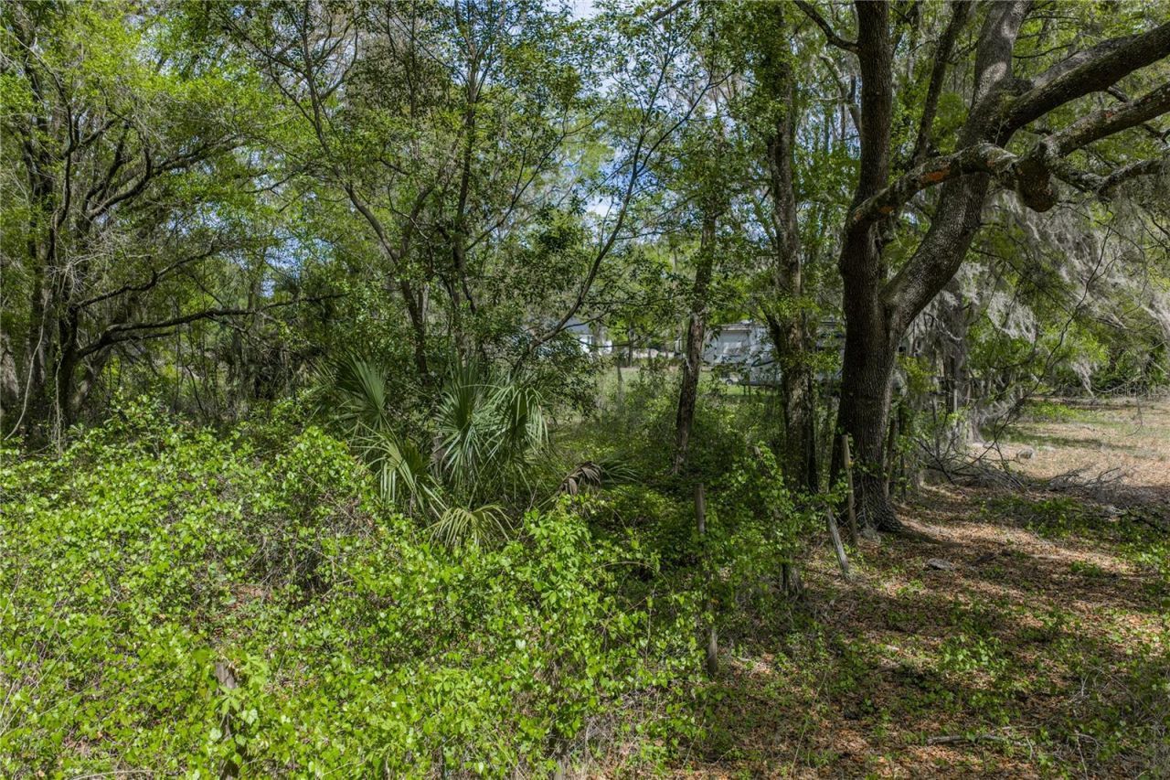 0 Clayton Road, Kathleen, FL 33849 Photo