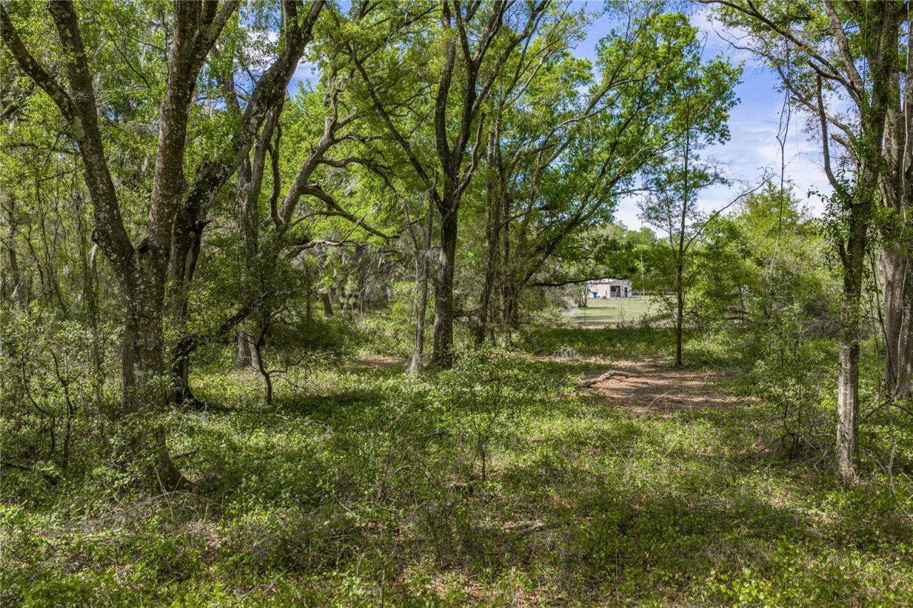 0 Clayton Road, Kathleen, FL 33849 Photo