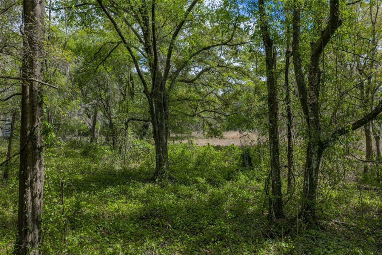 0 Clayton Road, Kathleen, FL 33849 Photo