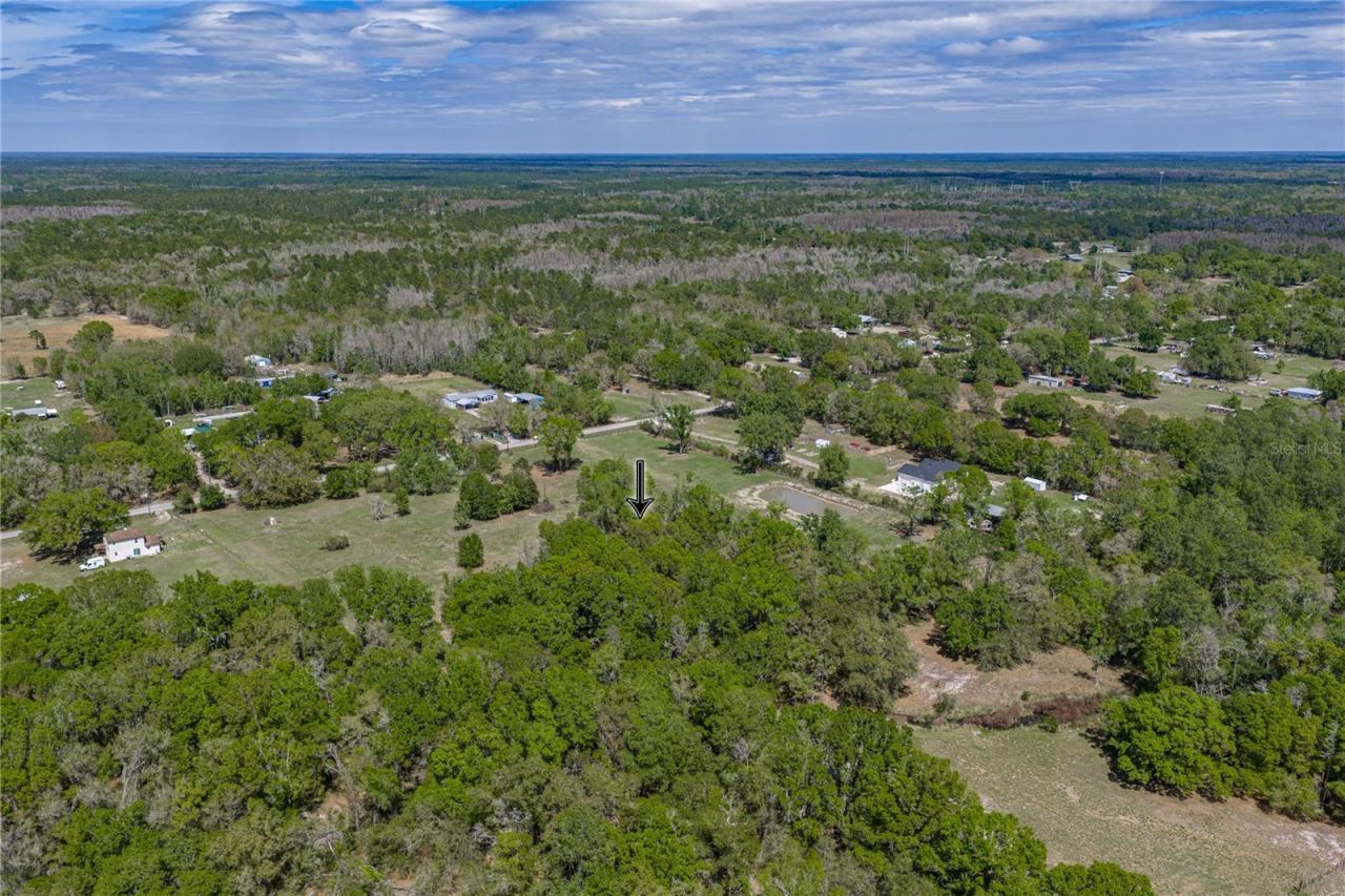 0 Clayton Road, Kathleen, FL 33849 Photo