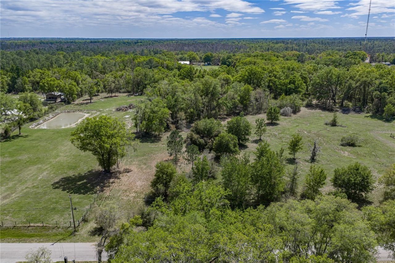 0 Clayton Road, Kathleen, FL 33849 Photo