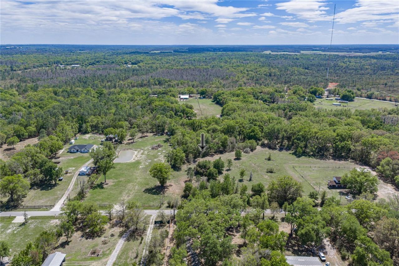 0 Clayton Road, Kathleen, FL 33849 Photo