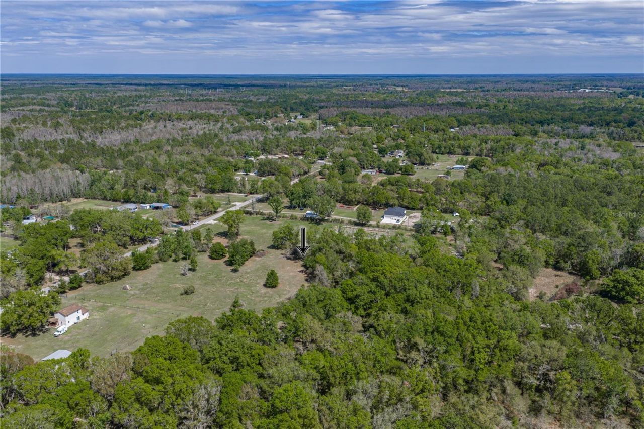 0 Clayton Road, Kathleen, FL 33849 Photo