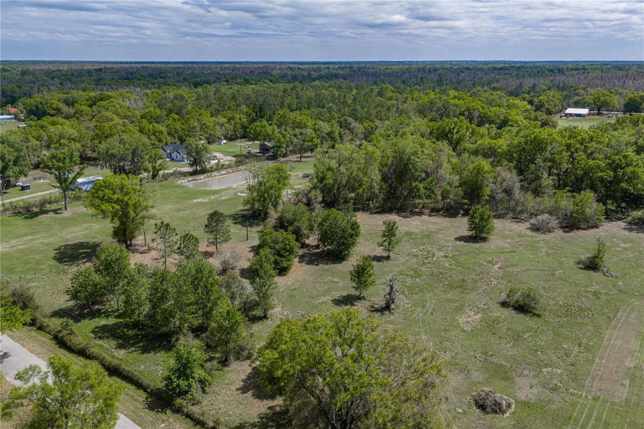 0 Clayton Road, Kathleen, FL 33849 Photo