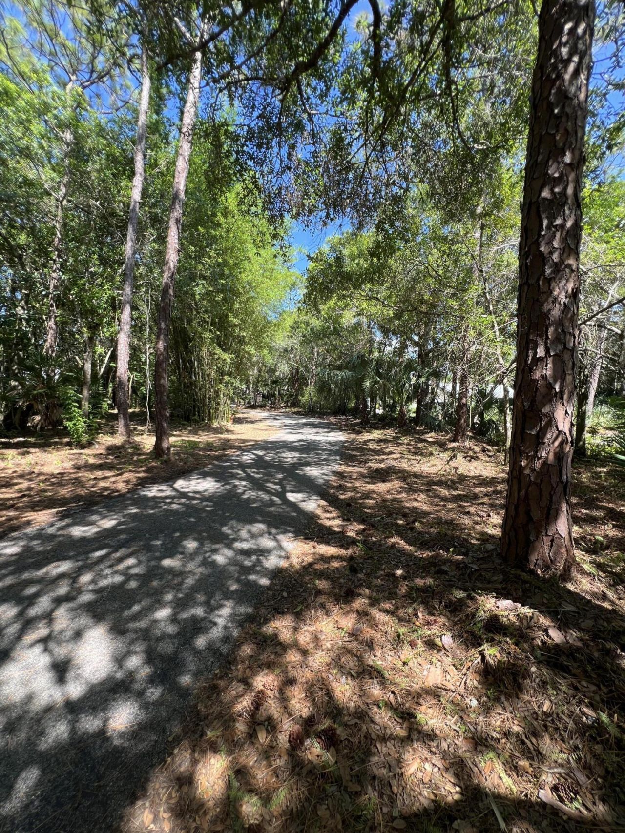 1975 SW St Andrews Drive, Palm City, FL 34990 Photo