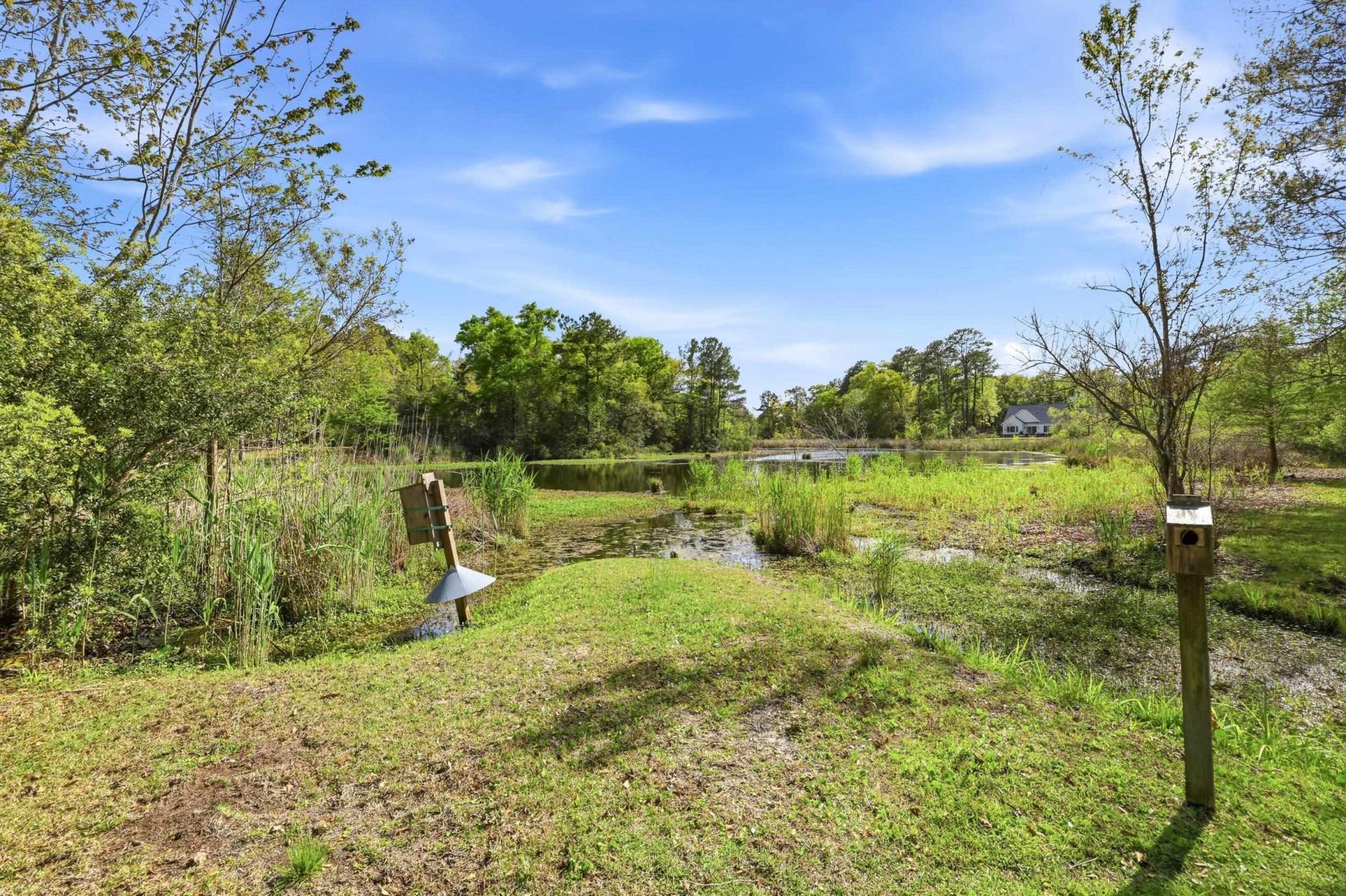 172 Half Moon Trail Photo 59