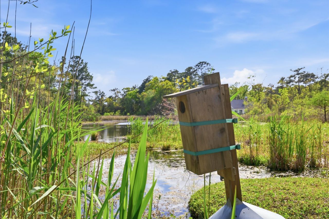 172 Half Moon Trail Photo 74