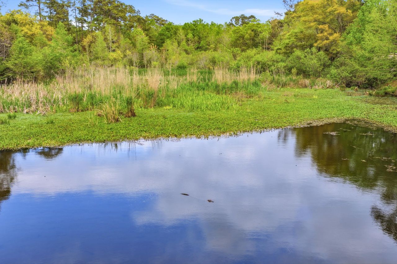 172 Half Moon Trail Photo 75