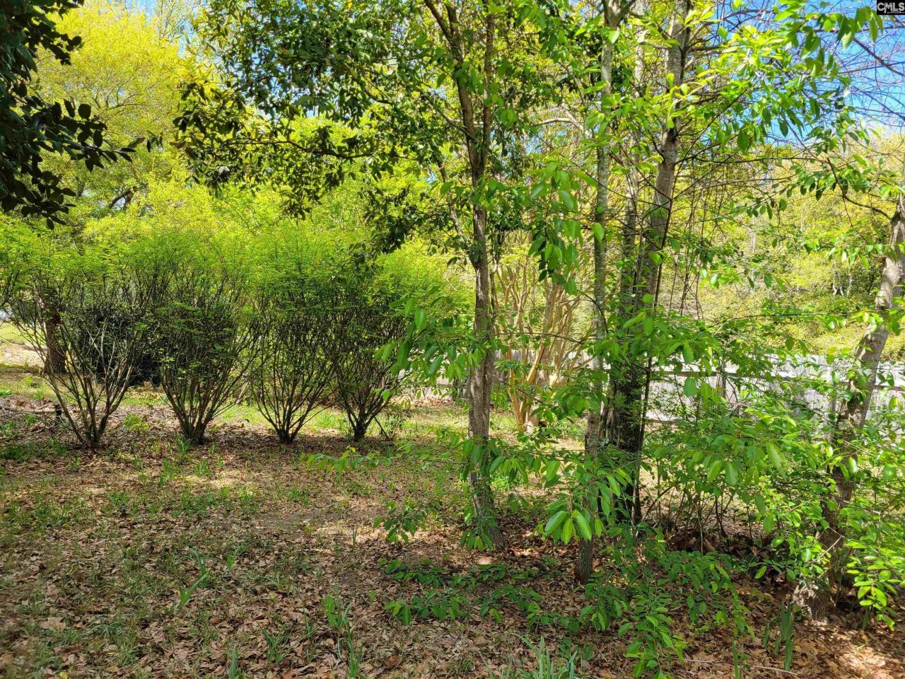 151 Sandpit Court Photo 16