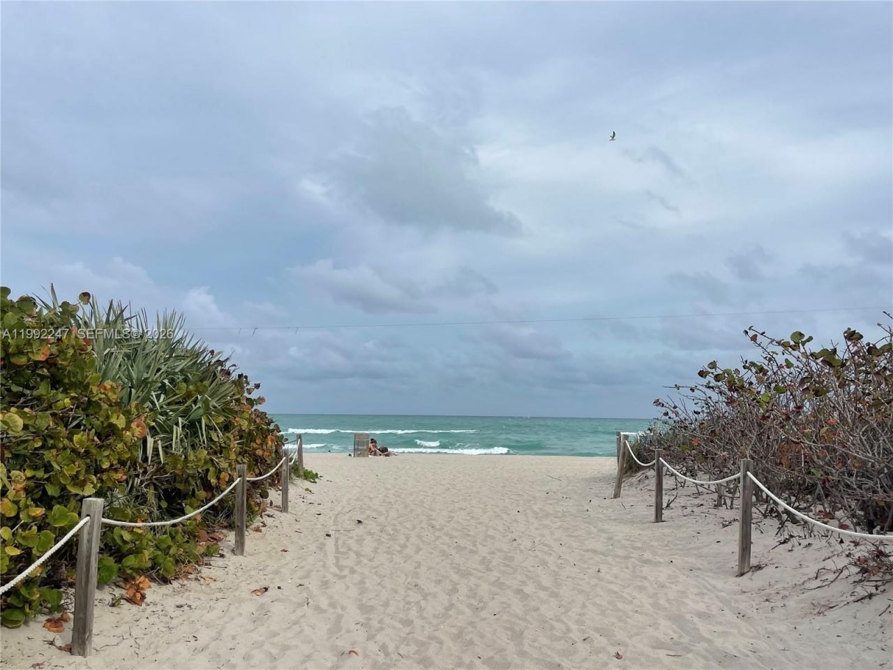 8036 Harding Ave, Unit 3, Miami Beach, FL 33141 Photo