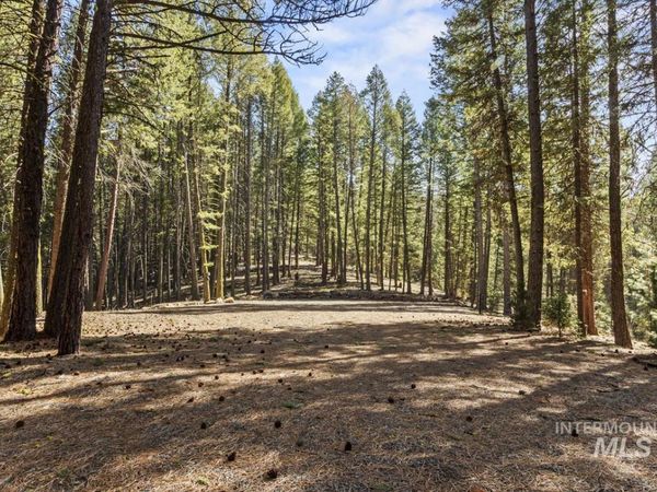 150 Mountain Air Drive, Cascade, ID 83611