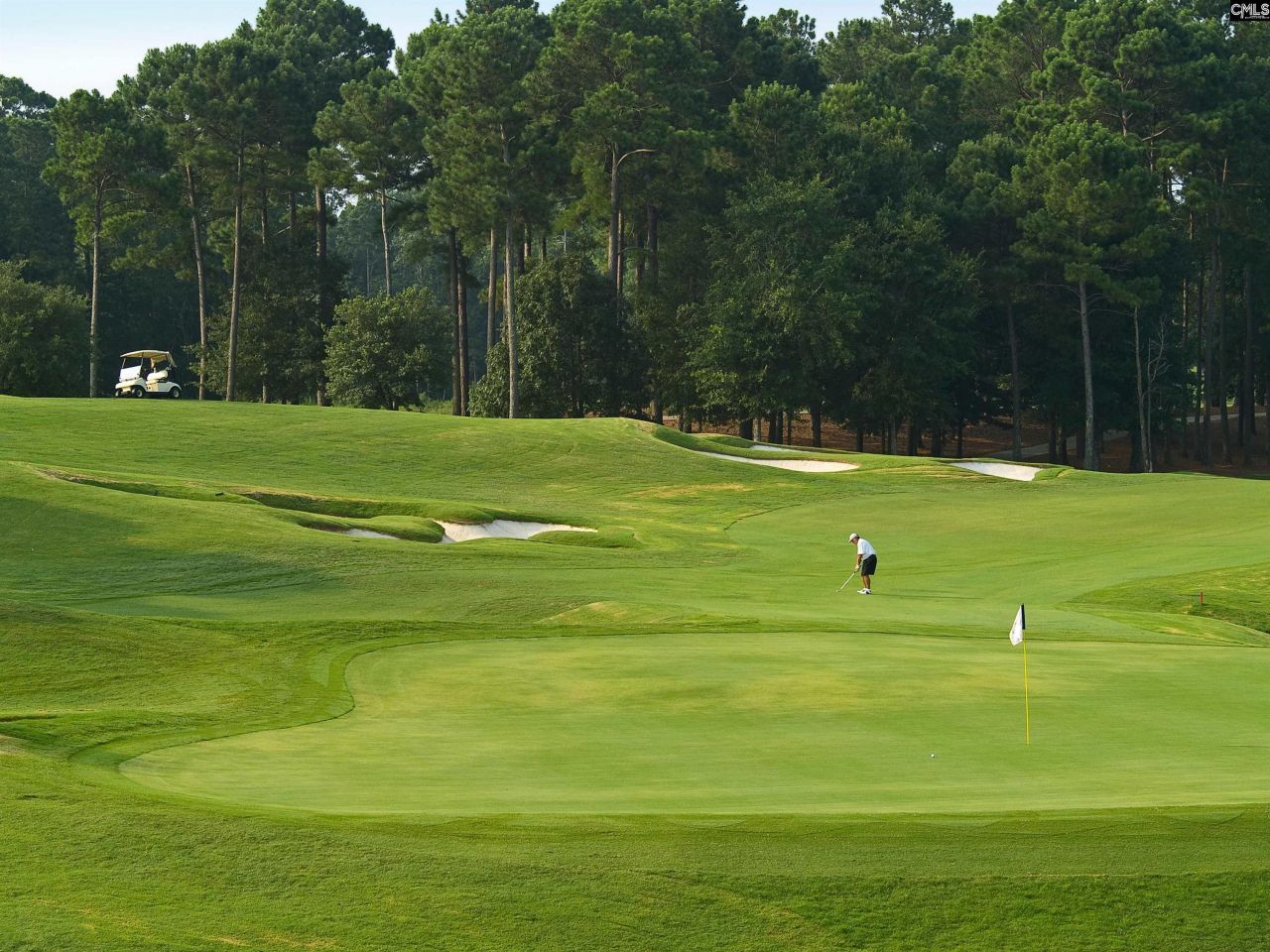 130 Tahoe Drive  Photo 33