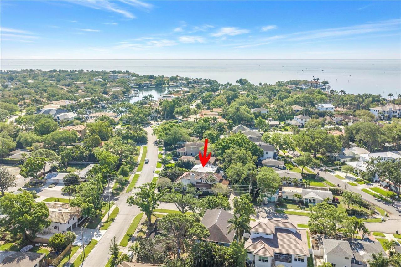 209 Bandera Way Ne, Saint Petersburg, FL 33704 Photo