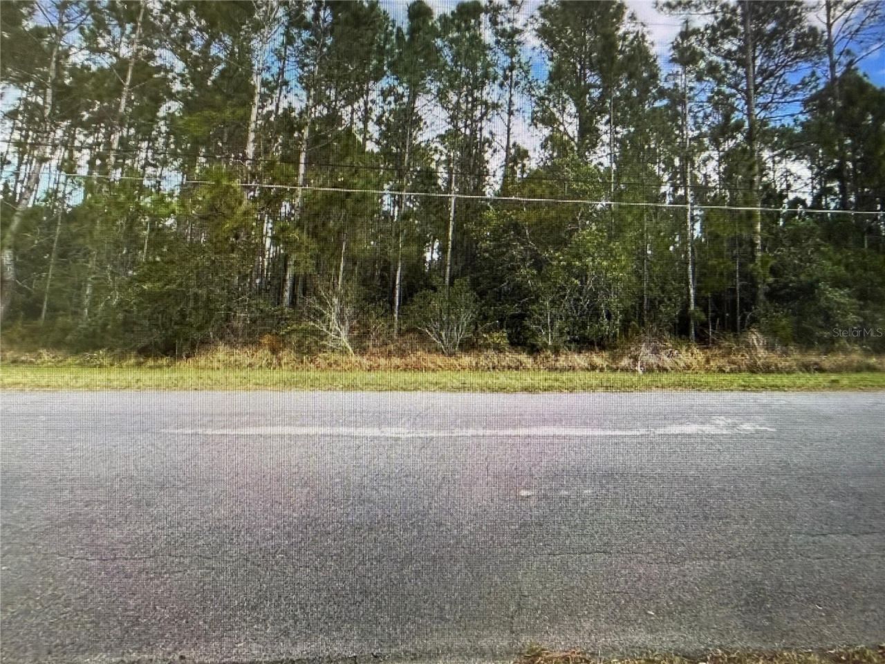 Paddock Street, Orlando, FL 32833 Photo