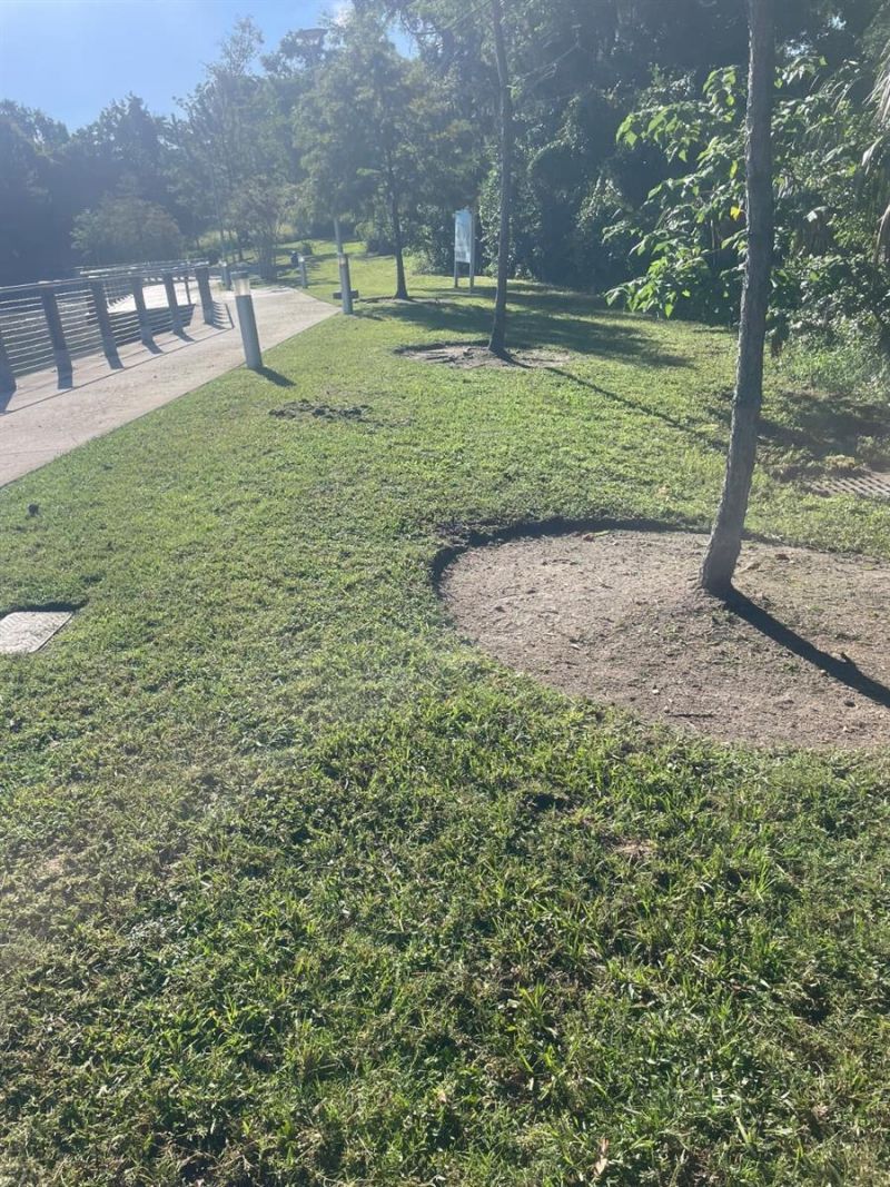 1000 W Montrose Street , Clermont, FL 34711 Photo