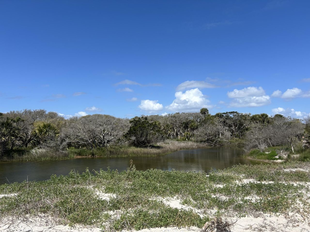 43 Lost Village Trail Photo 15