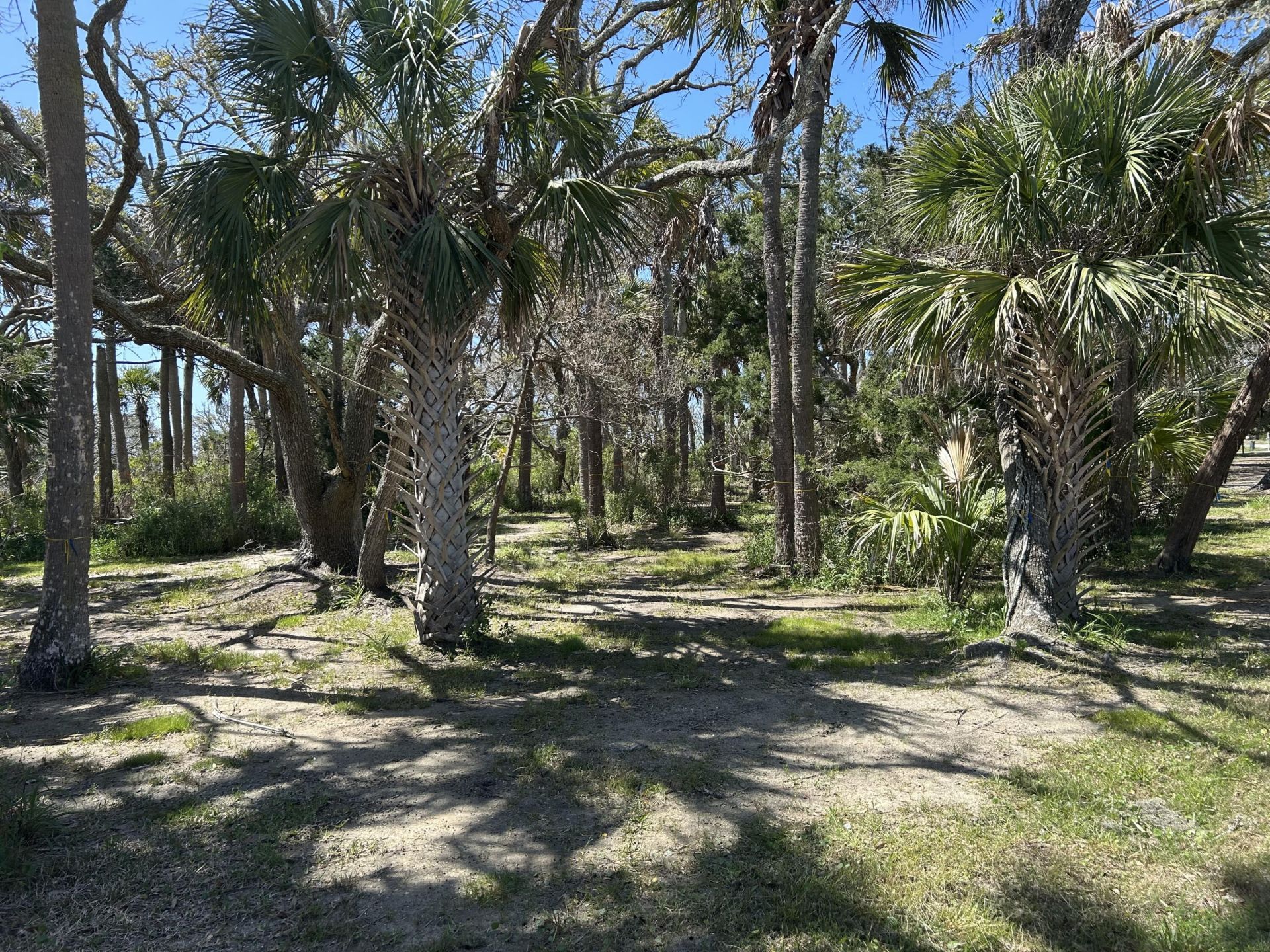 43 Lost Village Trail Photo 19