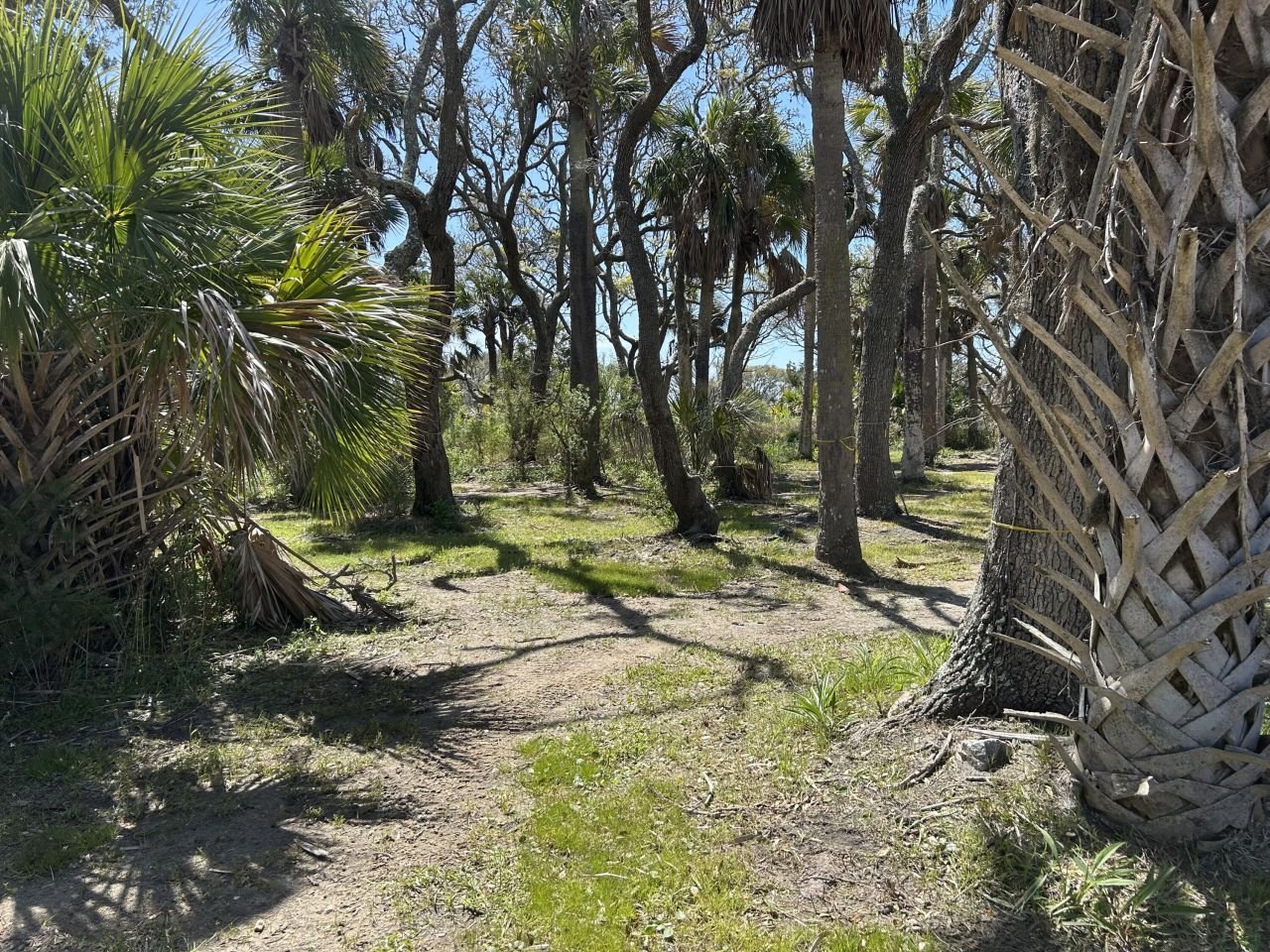 43 Lost Village Trail Photo 19