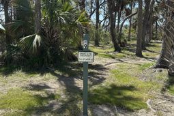 43 Lost Village Trail photo 4