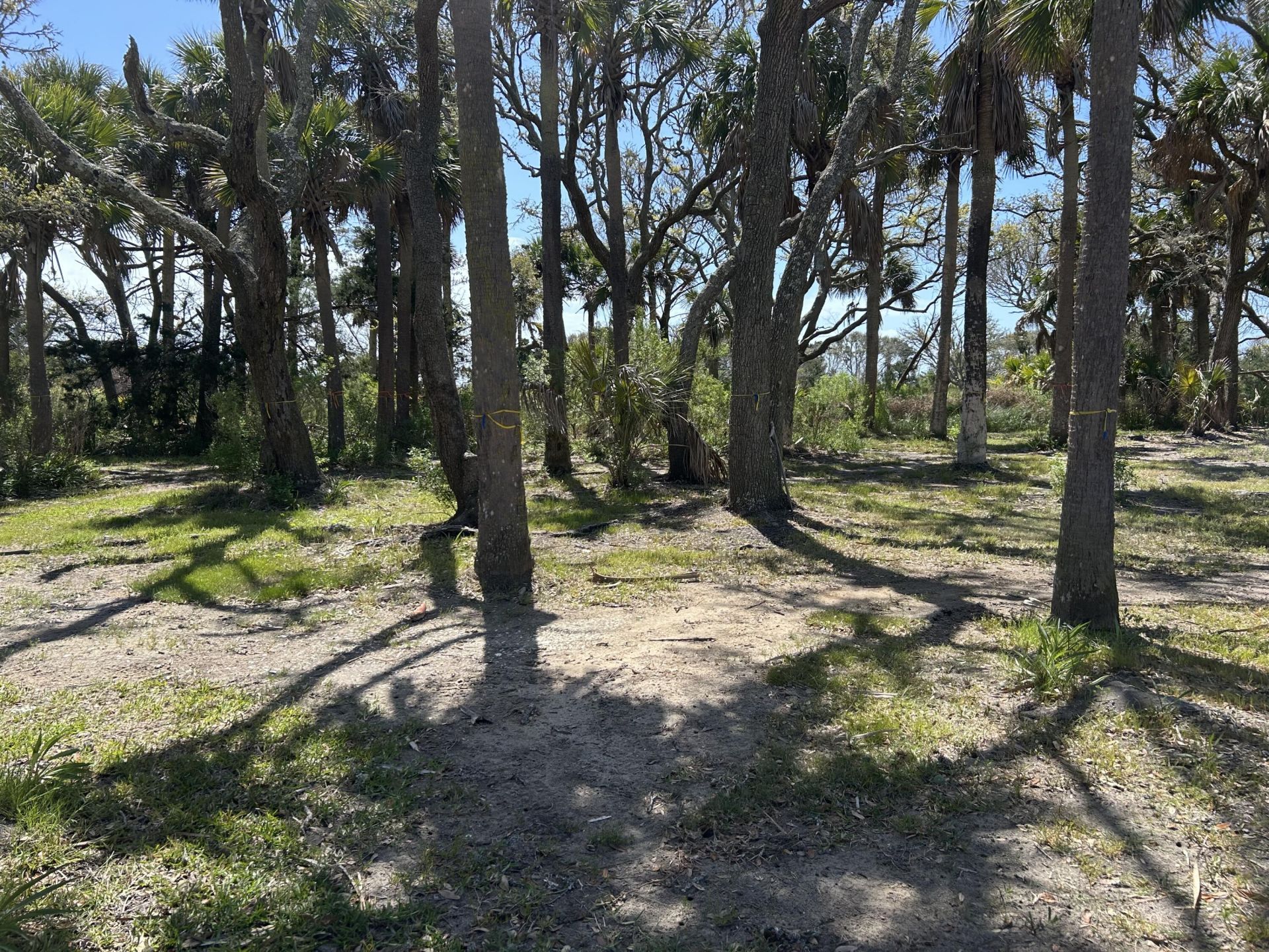 43 Lost Village Trail Photo 21