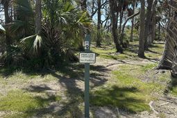 43 Lost Village Trail photo 4