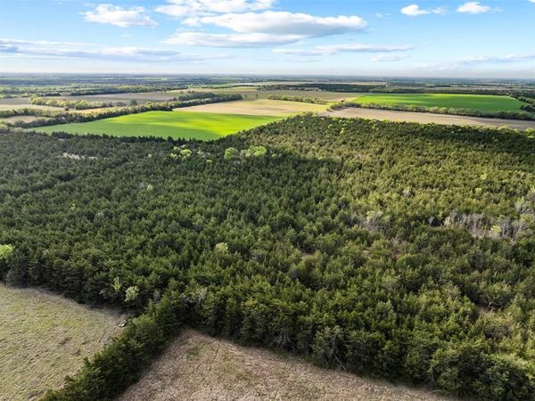 TBD FM 198 , Cooper, TX 75432