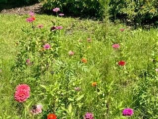 92 Jetty Lane , Sebastian, FL 32958 Photo