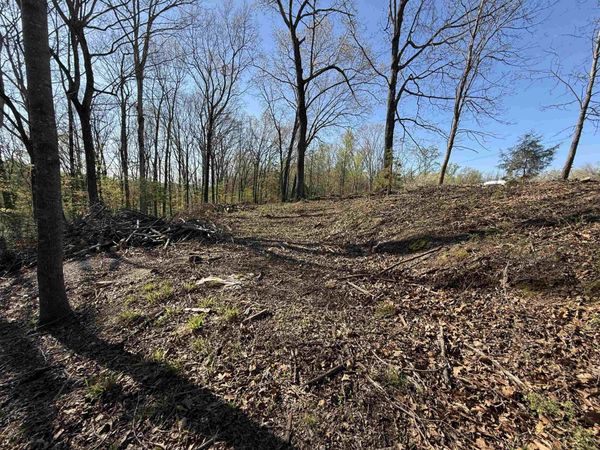 335 Shoreline Dr, Killen, AL 35645