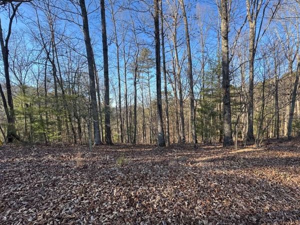 0 Rebekah Ridge, Talking Rock, GA 30175
