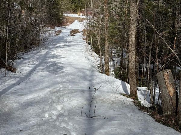 1656 Williamstown Road, Washington, VT 05675