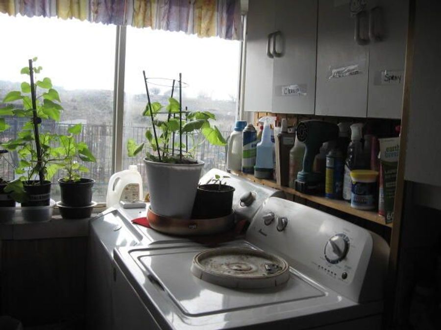 Property Image 31