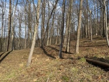 tbd Windsor Road, Bridgeport, WV 26330