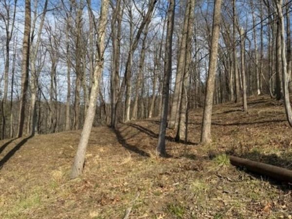 tbd Windsor Road, Bridgeport, WV 26330