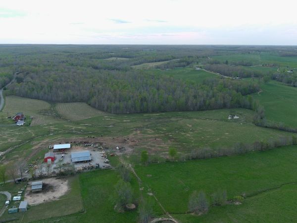 3421 George Olive Rd , Iron City, TN 38463