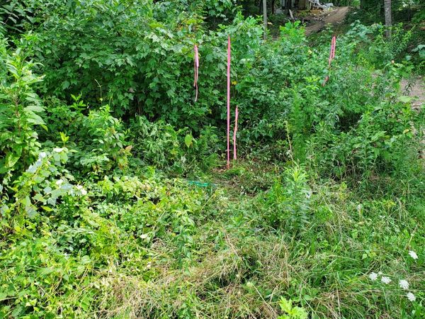 235 County Road , Niota, TN 37826