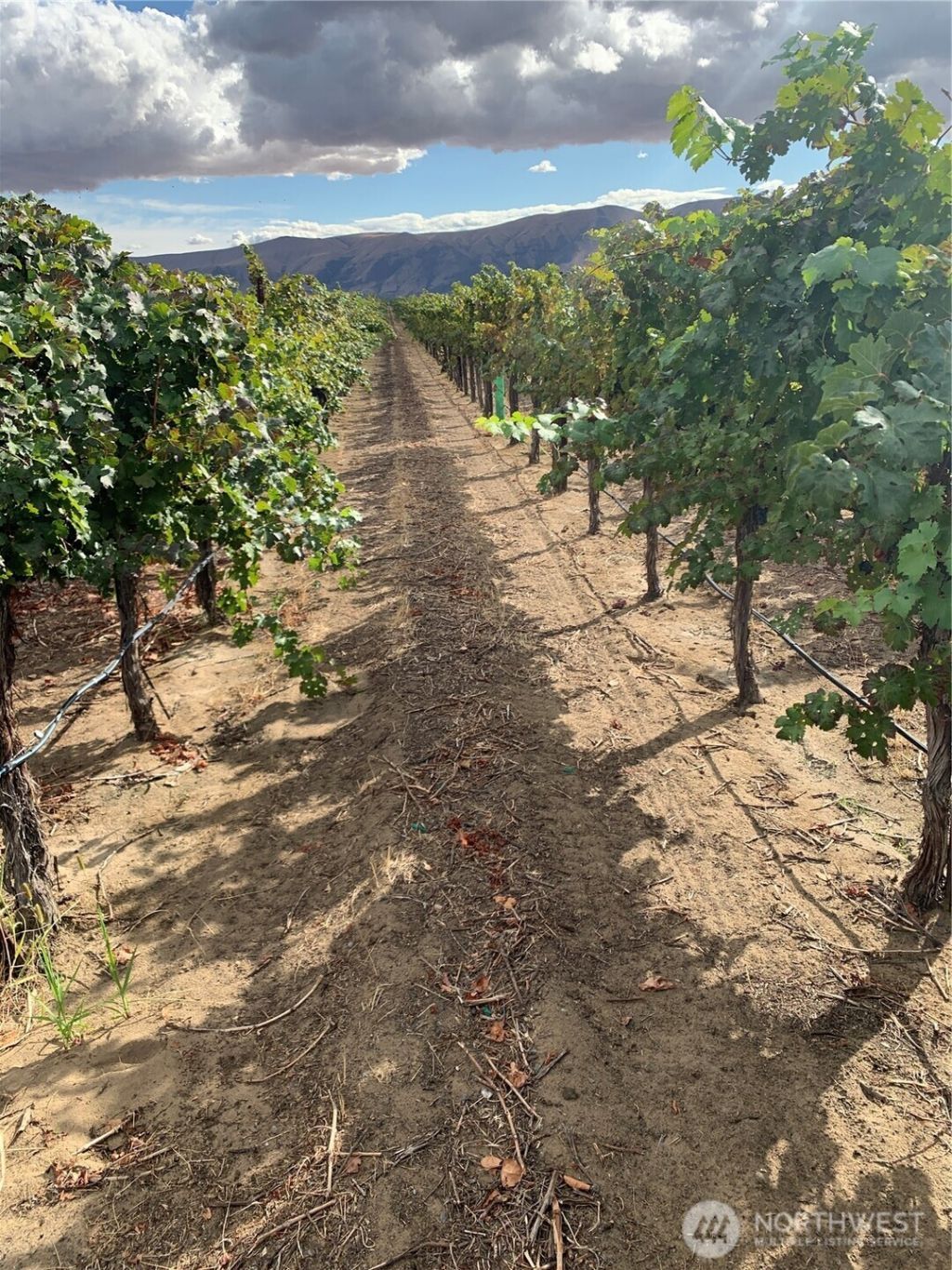 0 Rd 27 Sw, Mattawa, WA 99349 Main Photo