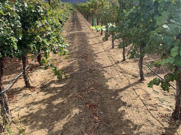 0 RD 27 SW, Mattawa, WA 99349